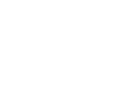 ML-Prim